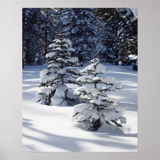 California, Sierra Nevada Mountains 8 Poster (Vorne)