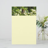 California Sister Butterfly in Yosemite Briefpapier (Stehend Vorderseite)