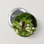 California Sister Butterfly in Yosemite Button (Vorne & Hinten)