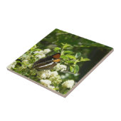 California Sister Butterfly in Yosemite Fliese (Seite)