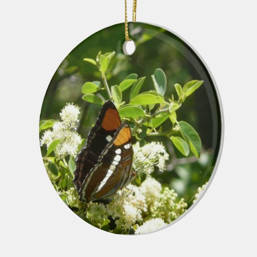 California Sister Butterfly in Yosemite Keramik Ornament (Links)