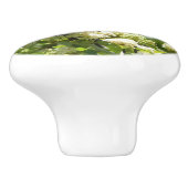 California Sister Butterfly in Yosemite Keramikknauf (Seitenansicht)