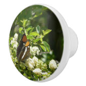 California Sister Butterfly in Yosemite Keramikknauf (Rechts)