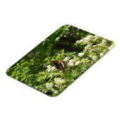 California Sister Butterfly in Yosemite Magnet (Linke Seite)