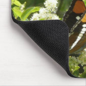 California Sister Butterfly in Yosemite Mousepad (Ecke)