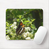 California Sister Butterfly in Yosemite Mousepad (Mit Mouse)
