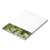 California Sister Butterfly in Yosemite Notizblock (Rotiert)