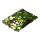 California Sister Butterfly in Yosemite Notizblock (Linke Seite)