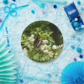 California Sister Butterfly in Yosemite Pappteller (Party)