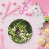 California Sister Butterfly in Yosemite Pappteller (Party)