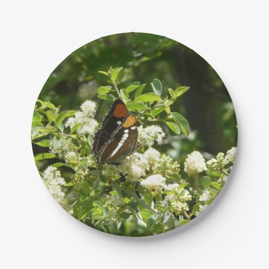 California Sister Butterfly in Yosemite Pappteller (Vorderseite)