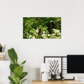California Sister Butterfly in Yosemite Poster (Heimbüro)