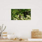 California Sister Butterfly in Yosemite Poster (Küche)