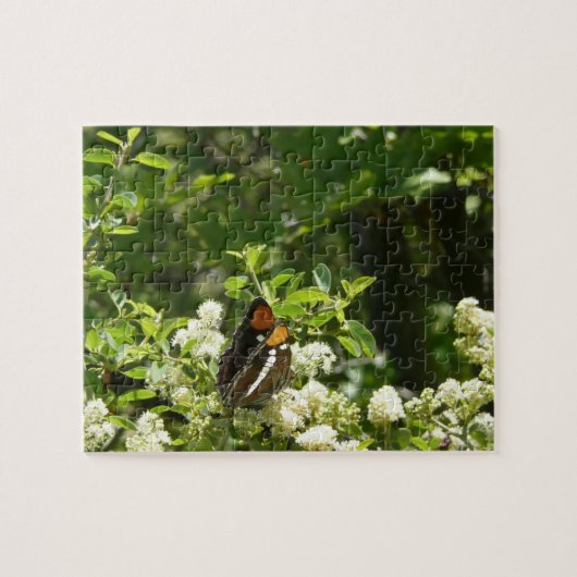 California Sister Butterfly in Yosemite Puzzle (Horizontal)