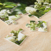 California Sister Butterfly in Yosemite Puzzle (Seite)