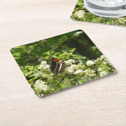 California Sister Butterfly in Yosemite Rechteckiger Pappuntersetzer (angewinkelt)