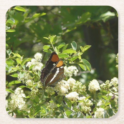 California Sister Butterfly in Yosemite Rechteckiger Pappuntersetzer (Vorderseite)