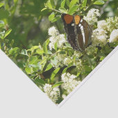 California Sister Butterfly in Yosemite Seidenpapier (Ausschnitt)