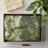 California Sister Butterfly in Yosemite Seidenpapier (Geschenk)