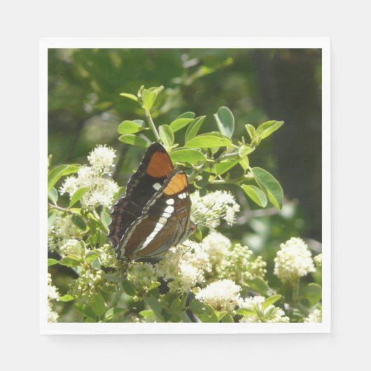 California Sister Butterfly in Yosemite Serviette (Vorderseite)