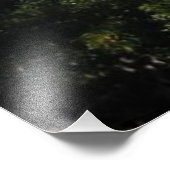 California Skyscape Foto (Ecke)