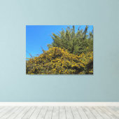 California Spring Leinwanddruck (Insitu (Holzboden))