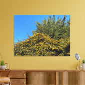 California Spring Leinwanddruck (Insitu (Wohnzimmer))