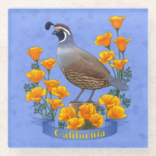 California Staat Bird Quail & Golden Poppy Glasuntersetzer