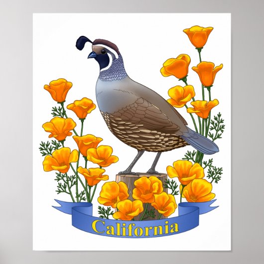 California Staat Bird Quail & Golden Poppy Poster (Vorne)