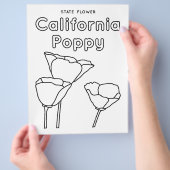 California Staat Blume Mohn Flyer (Hand)