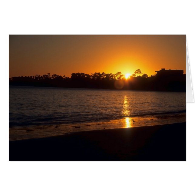 California Sunset (Vorderseite (Horizontal))