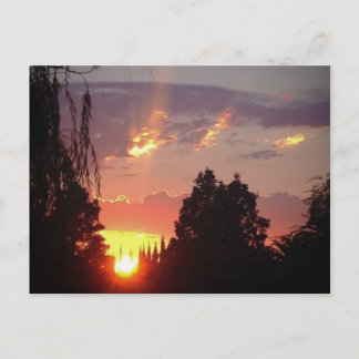 California Sunset Postcard Postkarte