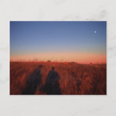 California Sunset Postkarte (Vorderseite)