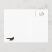 California Sunset Waves Ocean Seascape Postkarte (Rückseite)