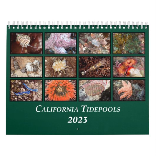 California Tidepools Kalender (Titelbild)
