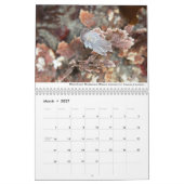 California Tidepools Kalender (Mär 2027)