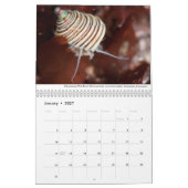 California Tidepools Kalender (Jan 2027)