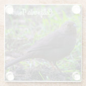 California Towhee Glasuntersetzer (Rückseite)