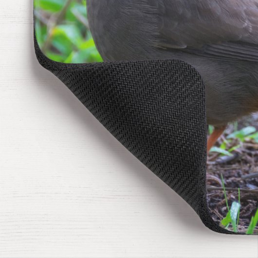California Towhee Mousepad (Ecke)