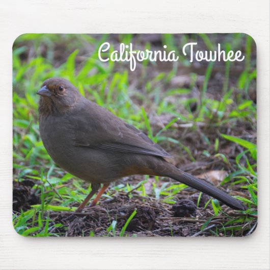 California Towhee Mousepad (Vorne)