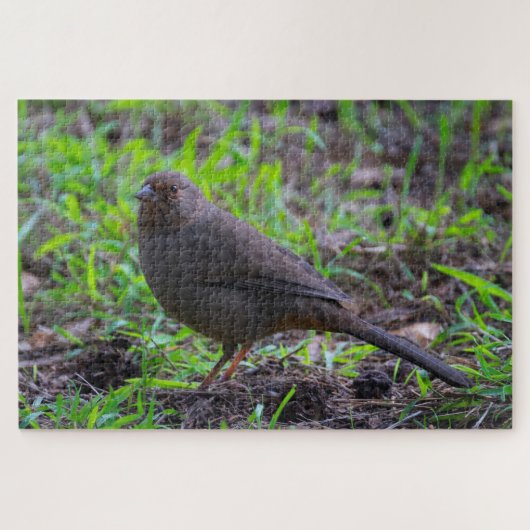 California Towhee Puzzle (Horizontal)