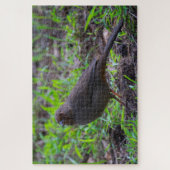 California Towhee Puzzle (Vertikal)