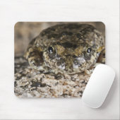California tree frog (Pseudacris cadaverina), Mousepad (Mit Mouse)