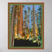 California Trees Poster (Vorne)