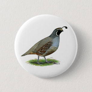 California Valley Button