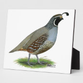 California Valley Fotoplatte (Seite)