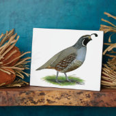 California Valley Fotoplatte (Seite)