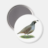 California Valley Magnet (Vorderseite/Rückseite)