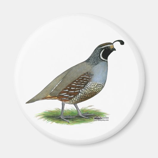 California Valley Magnet (Vorne)