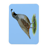 California Valley Magnet (Vertikal)